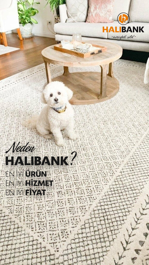 متجر سجاد Halıbank Inc. Fetih Avenue Branch ، قونية، صورة