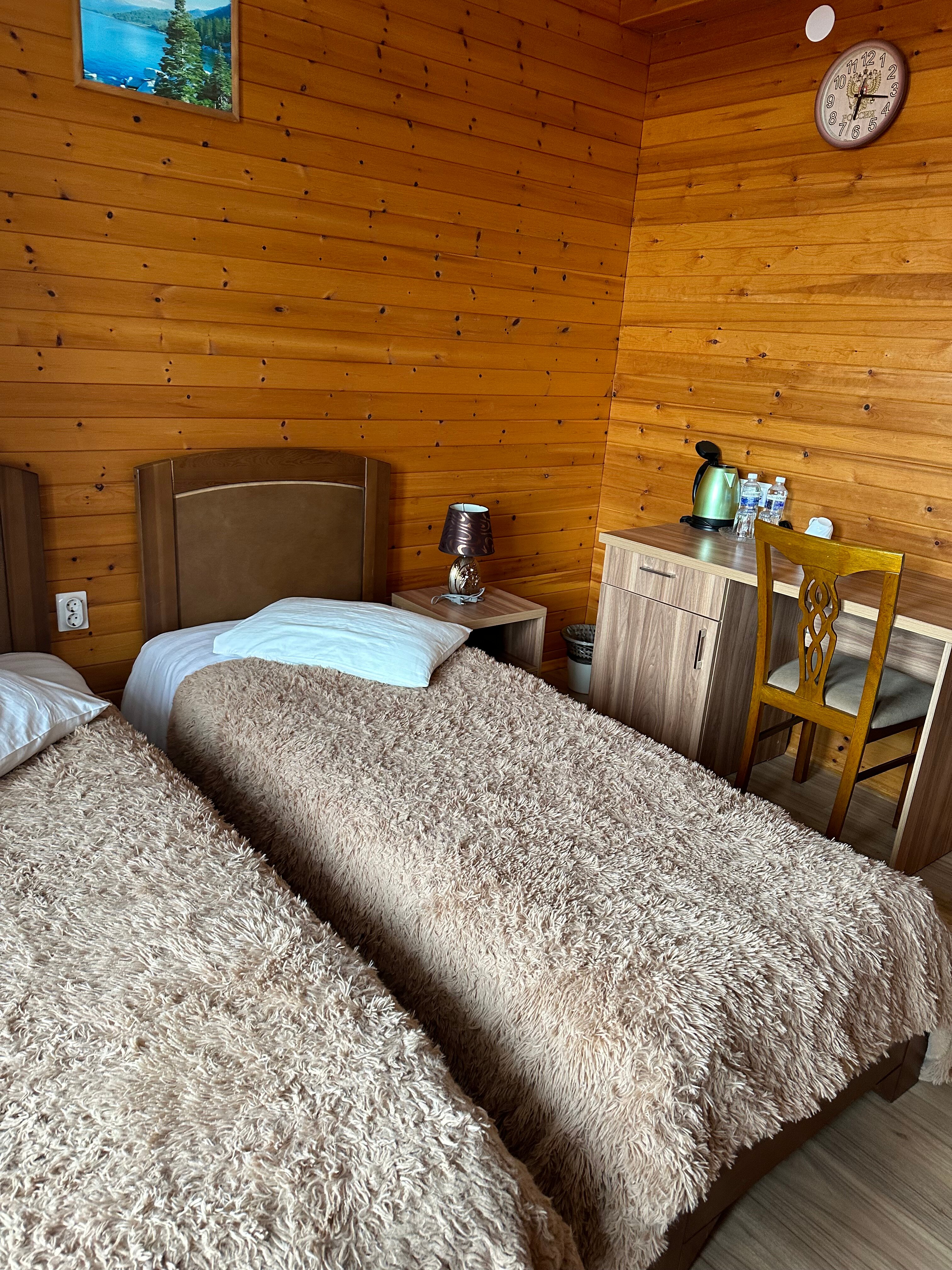 Фото Байкал Кедр