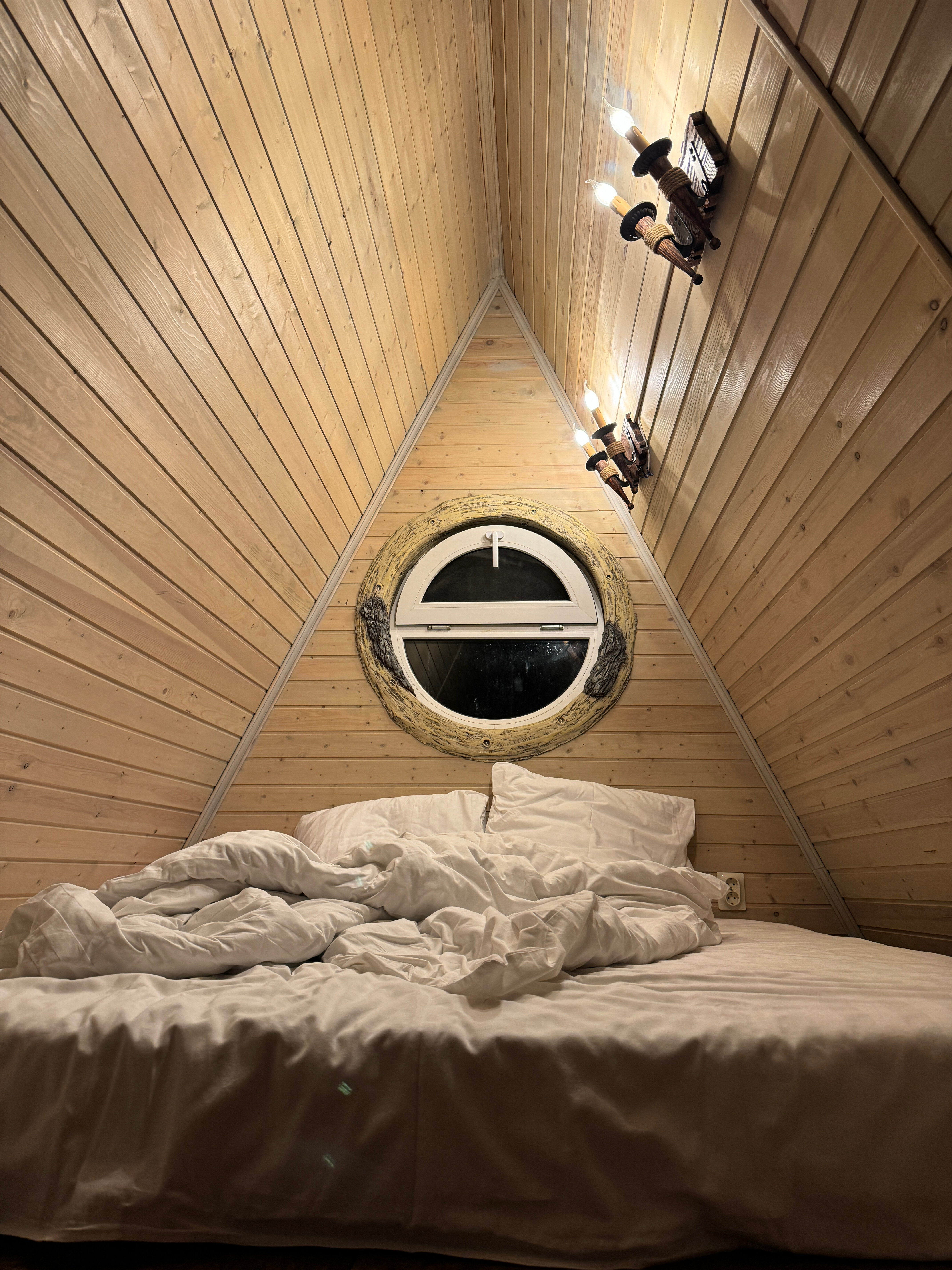 Фото Богатый лес