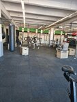 Record gym (ул. Карла Либкнехта, 41), спортивный, тренажёрный зал в Кирове