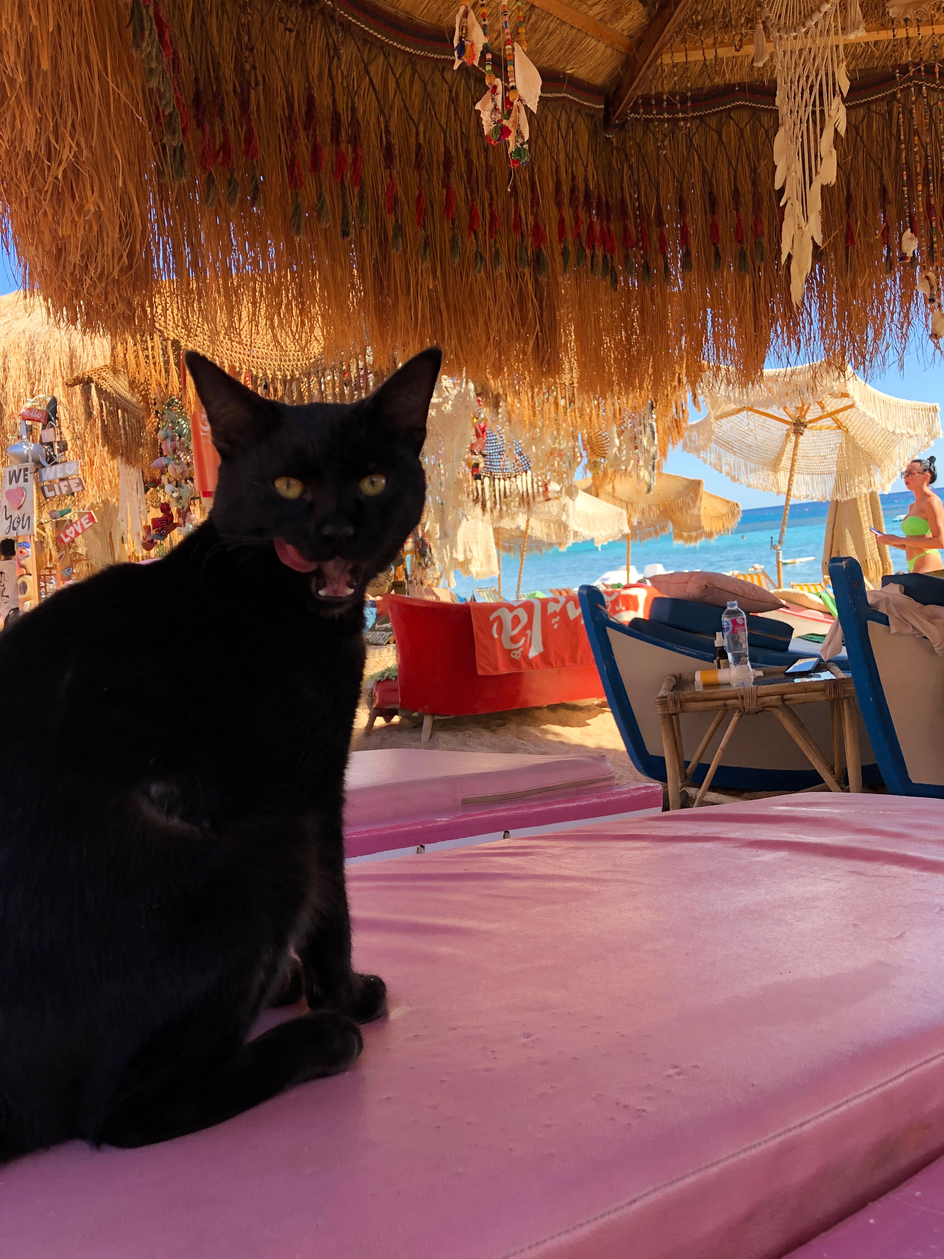 Фото Rehana Sharm Resort