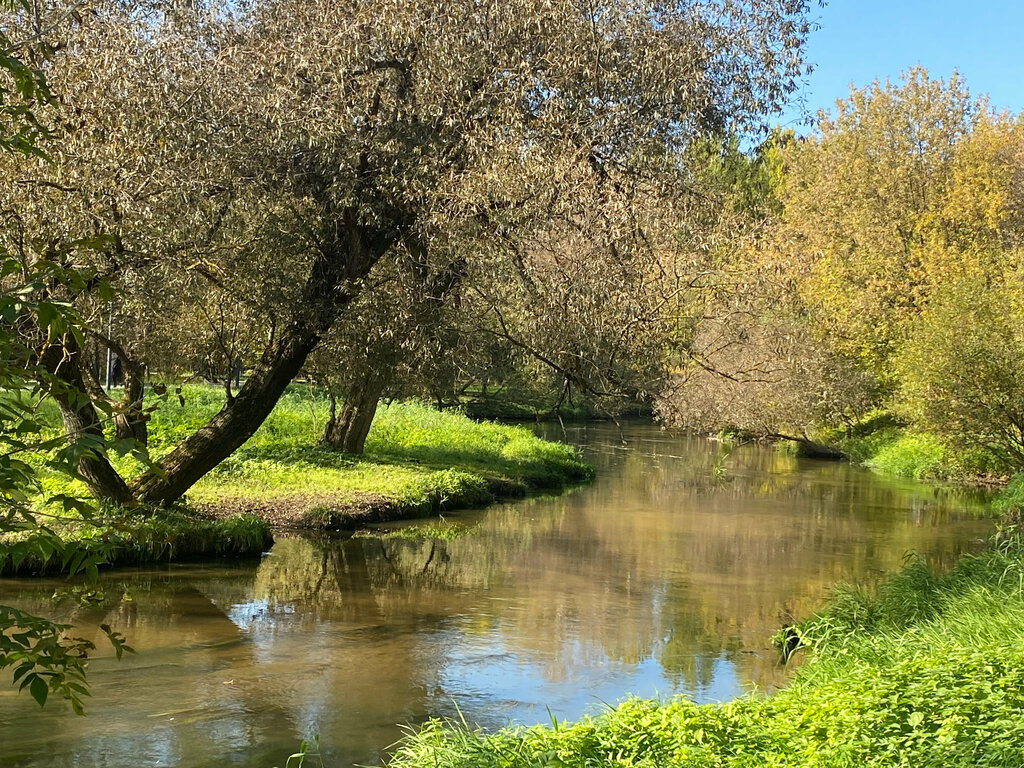 Kültür ve eğlence parkları Babushkinsky Park, Moskova, foto