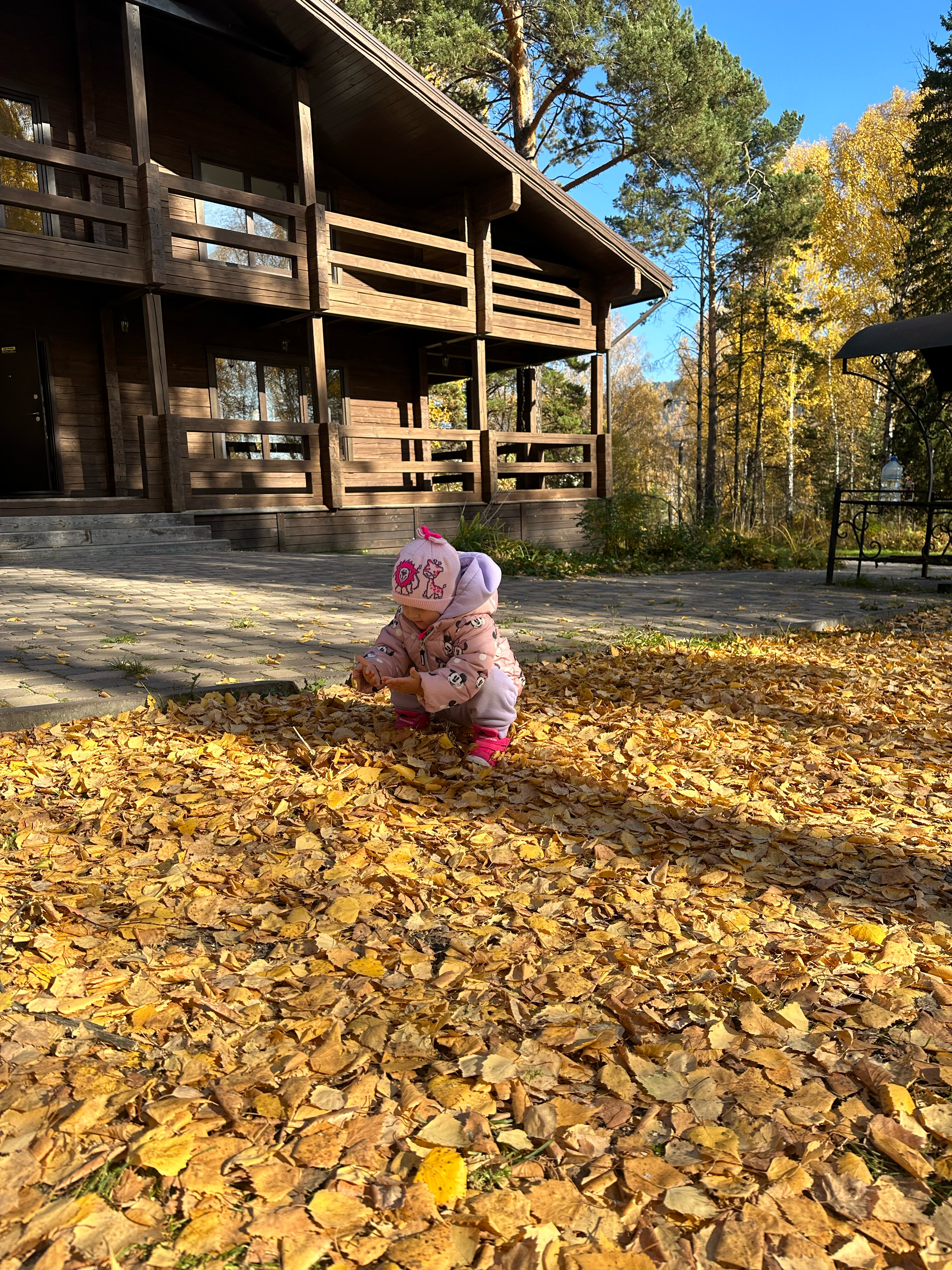 Фото На Шумихе