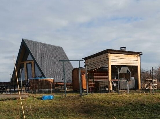 Фото Река лес