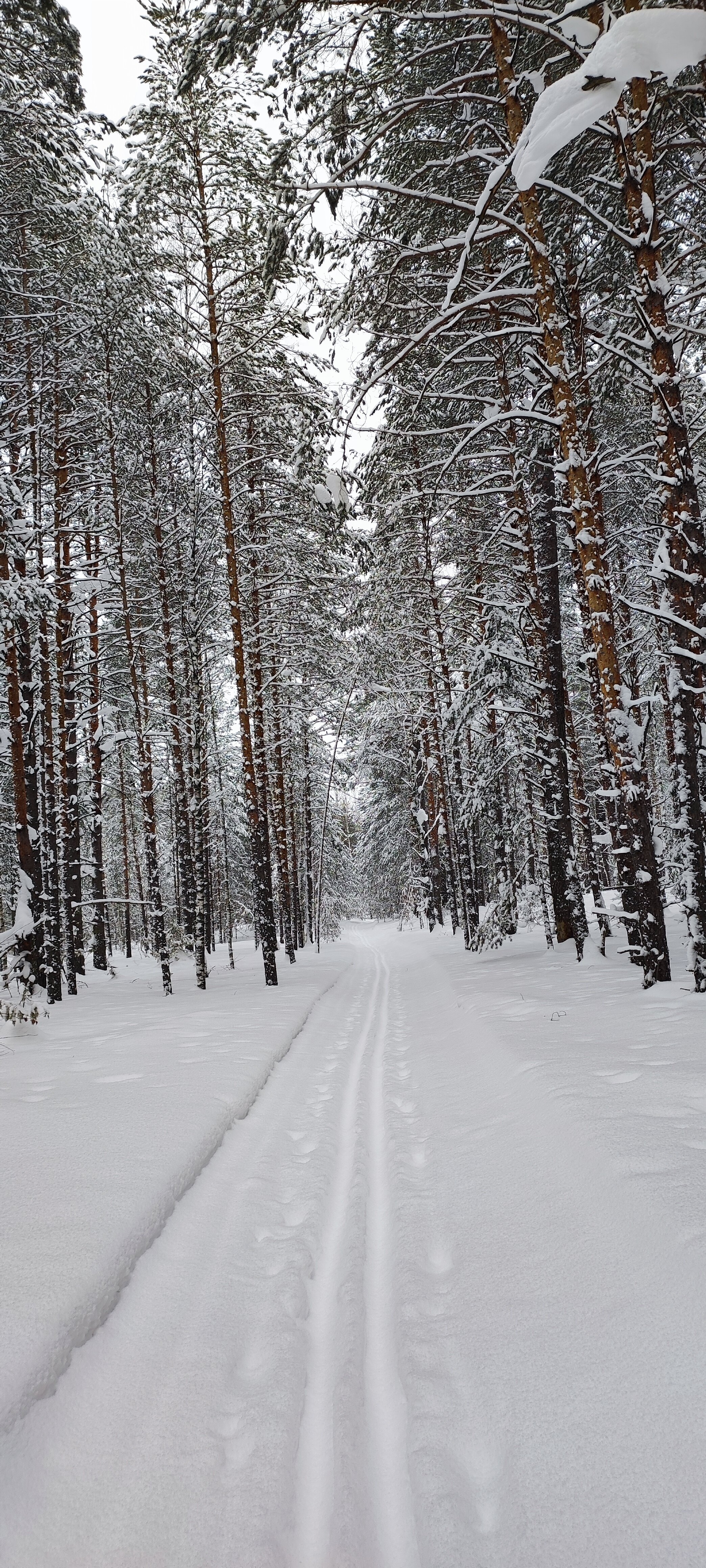 Фото Кичиер