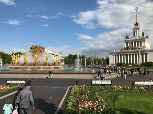 Выставка достижений народного хозяйства (просп. Мира, 119В, Москва), достопримечательность в Москве