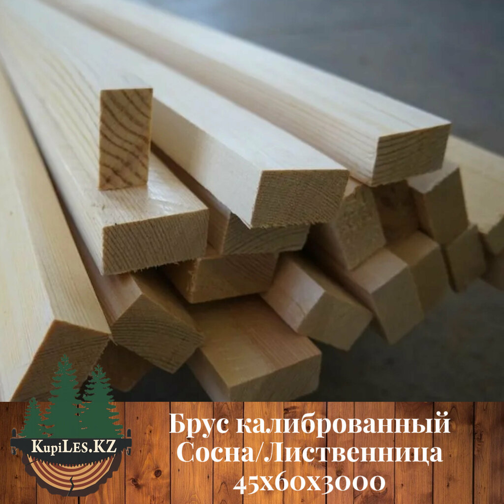 Lumber Kupiles, Almaty, photo