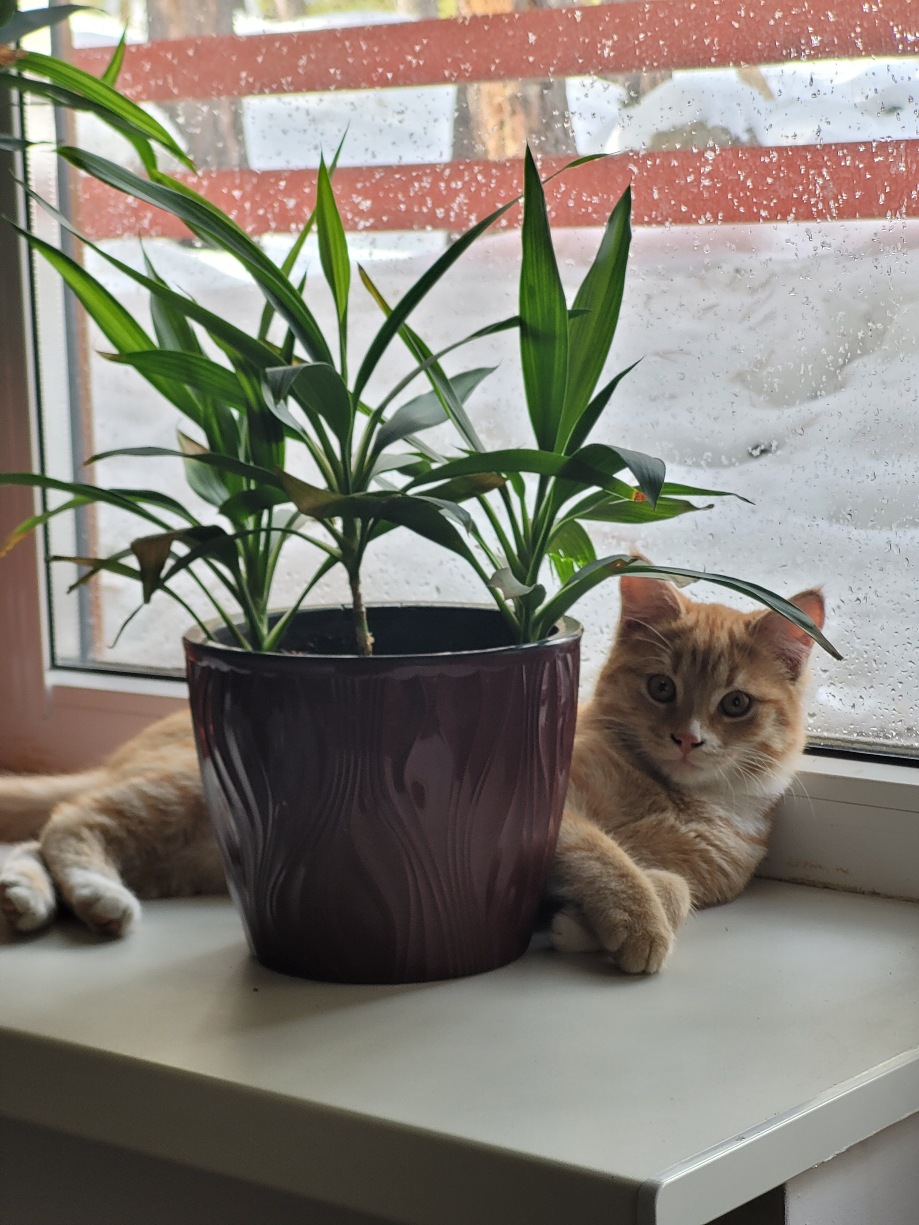 Фото Зима-Лето Терскол