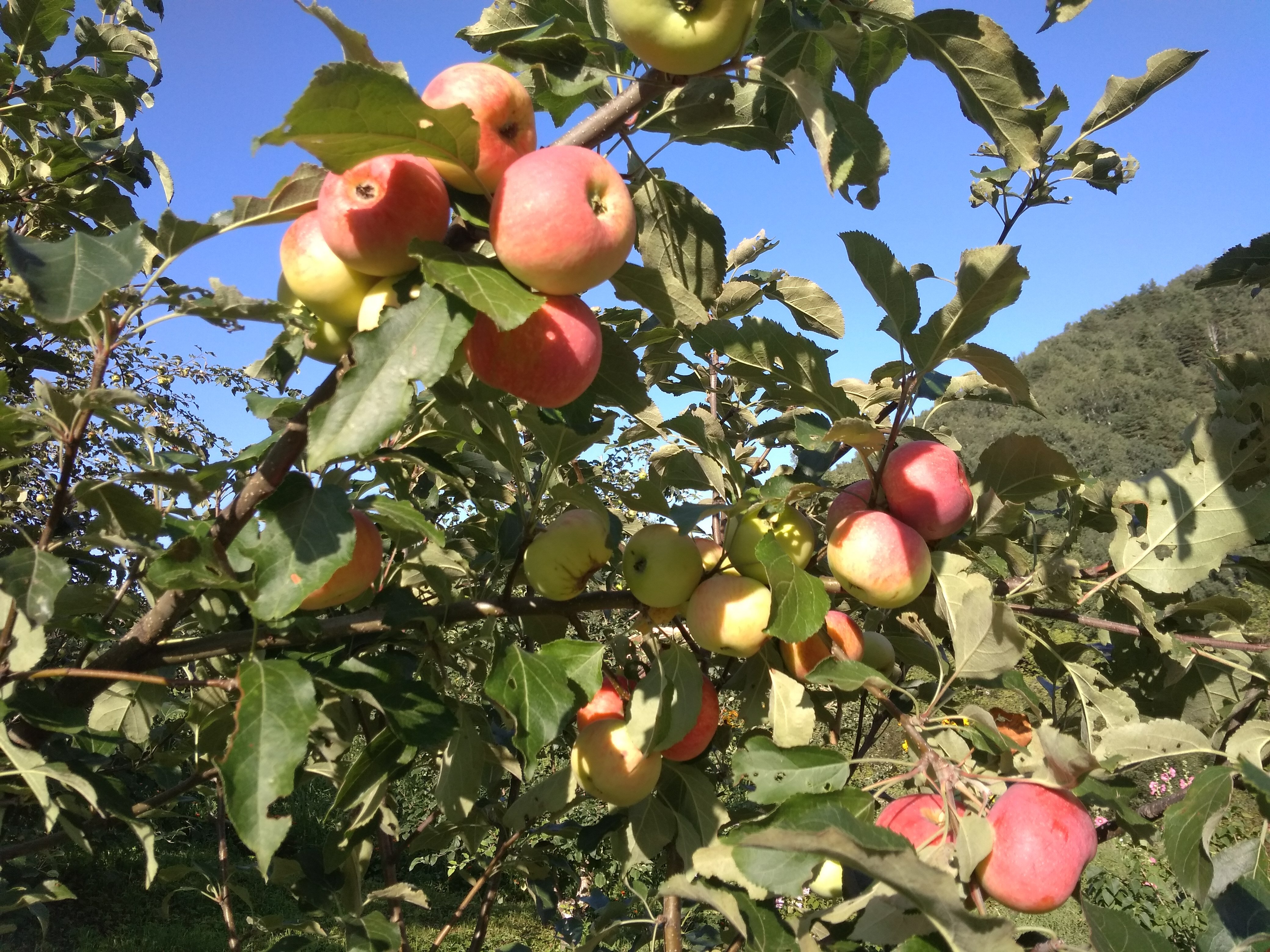 Фото Тихий Лог