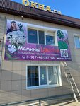 Мамины цветы (Traktovaya Street, 43А), floristeria