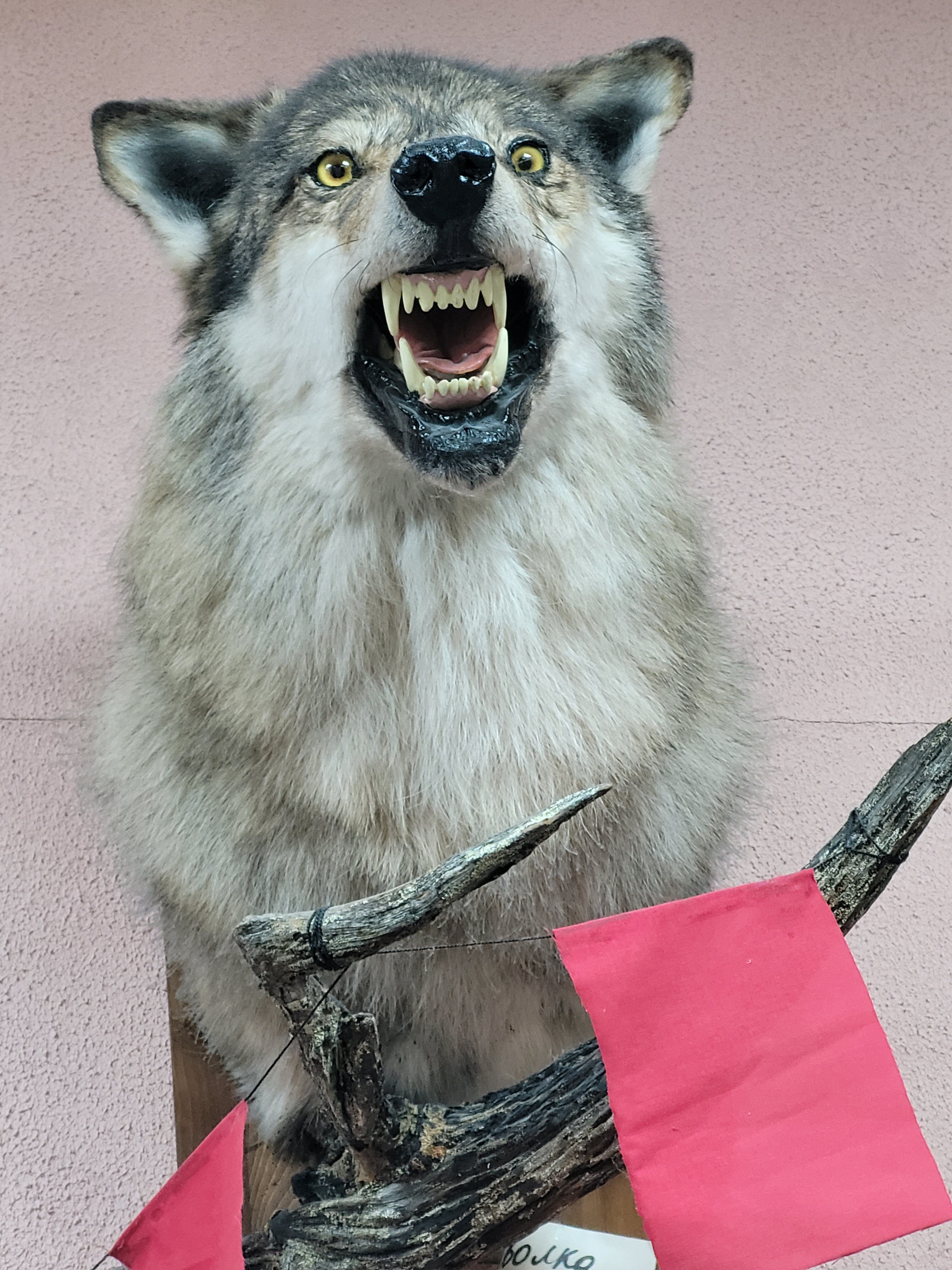 Фото Мотель Пушной