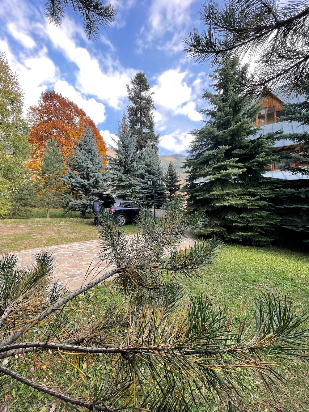 Фото Банковская дача