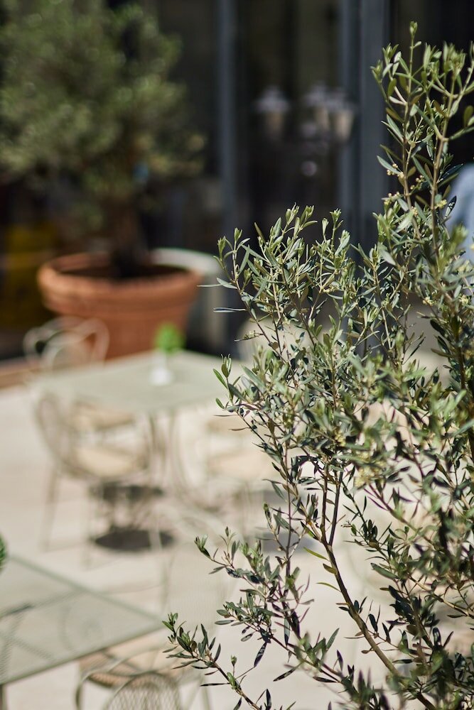 Фото Hotel Diplomat