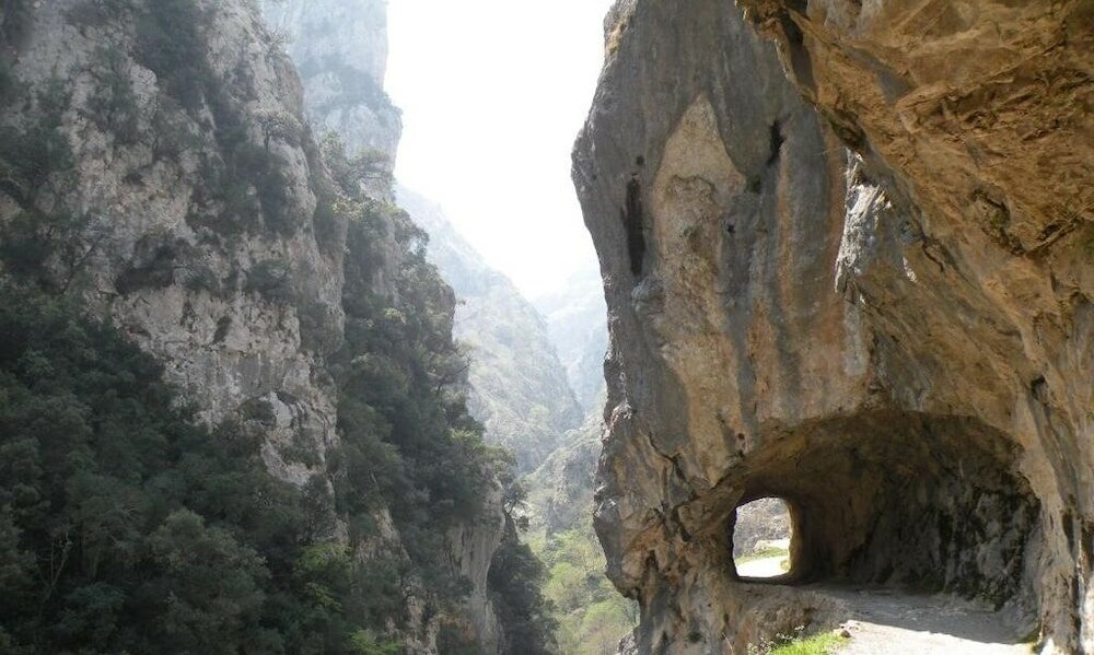 Фото Albergue La Estación - Hostel