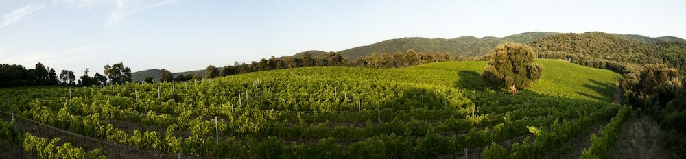 Фото Agriturismo Villa Borgeri