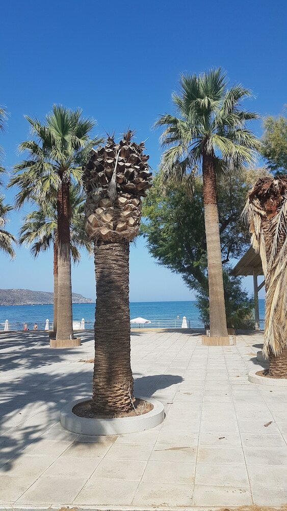 Фото Marita's Apartments