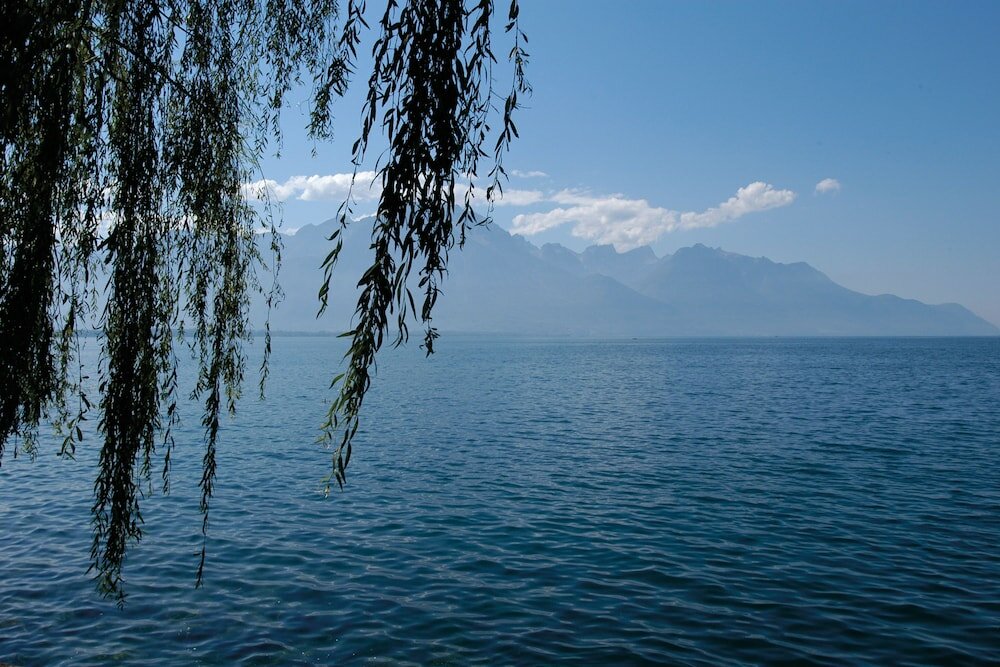 Фото Youth Hostel Montreux