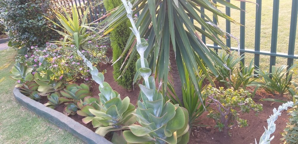 Фото Gift Holiday Home