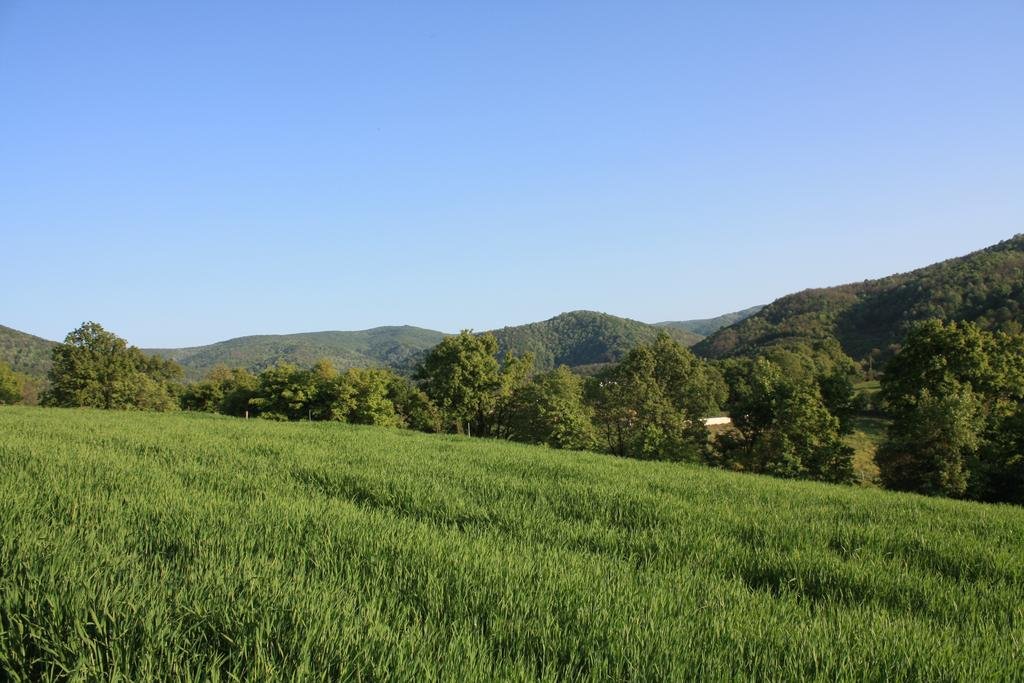 Фото Kaltur Boutique Hotel