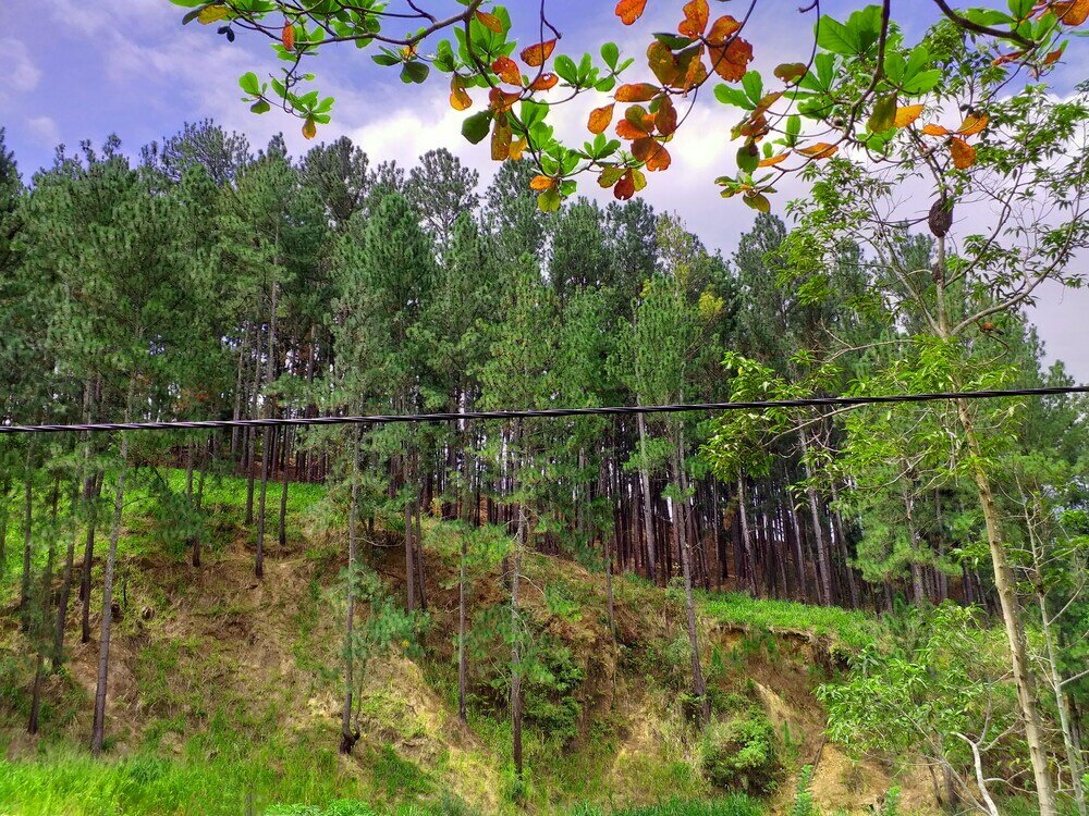 Фото Silver Dome