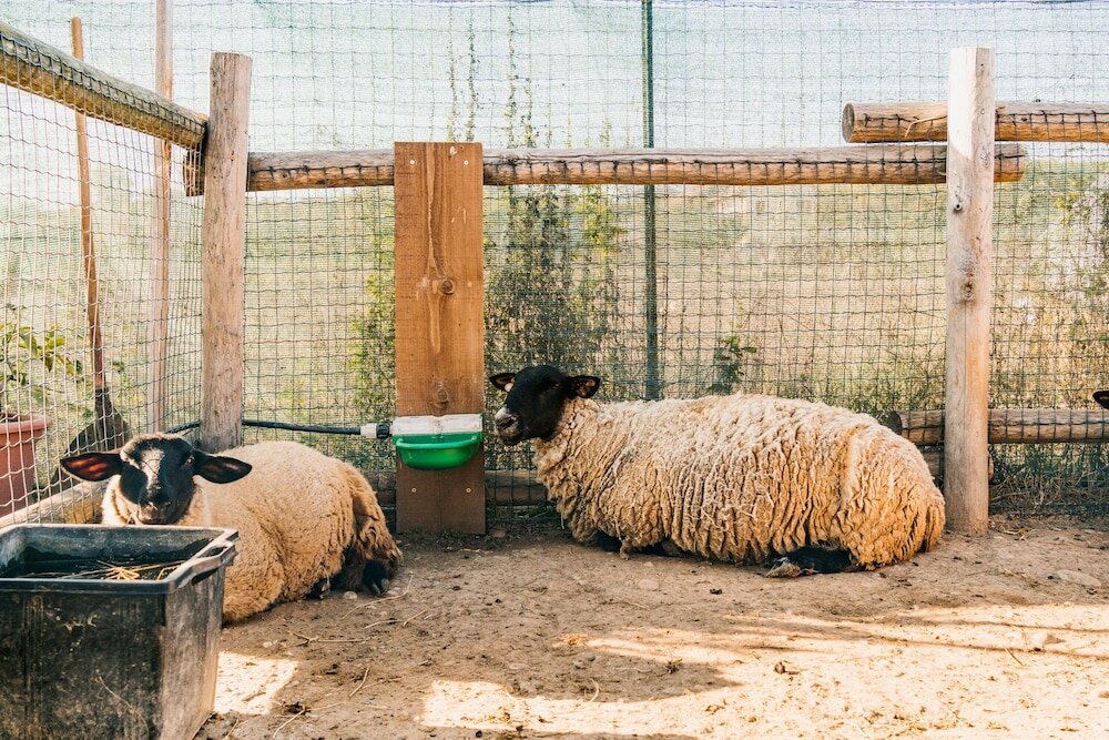 Фото La Tenuta di Santo Stefano Agri Resort & SPA