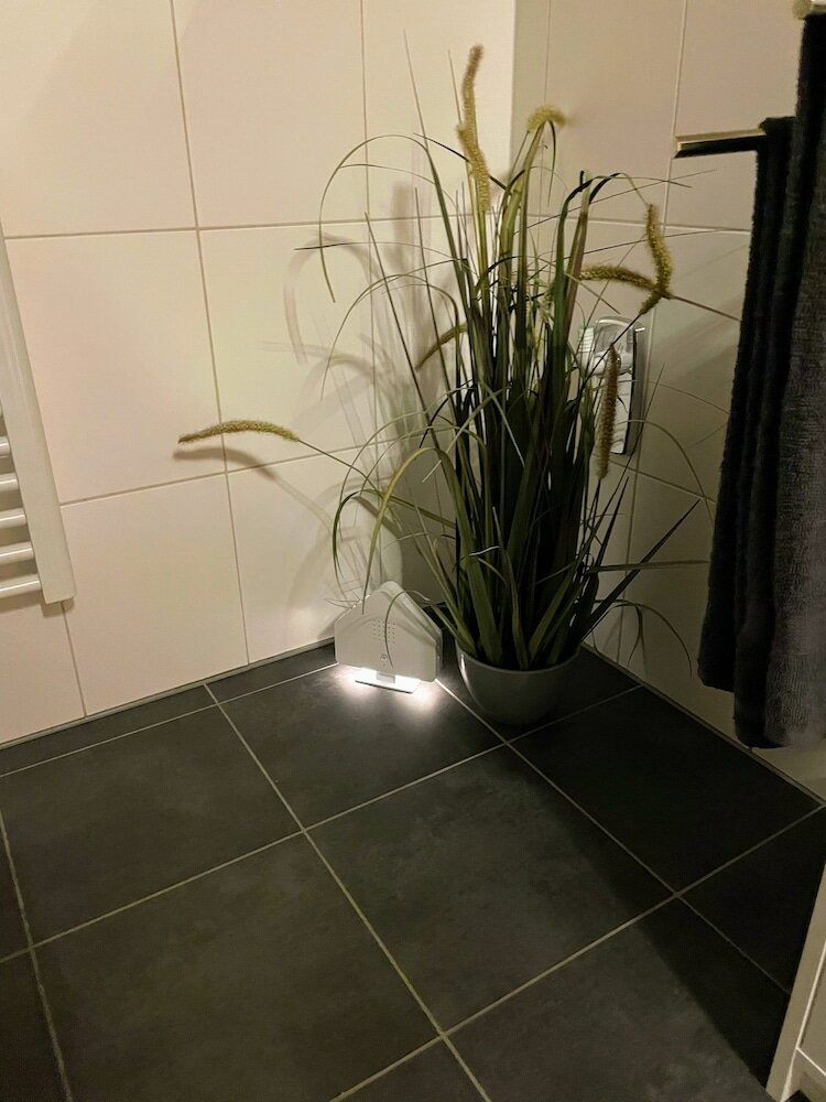 Фото Apartment zur Wiege Anhalts