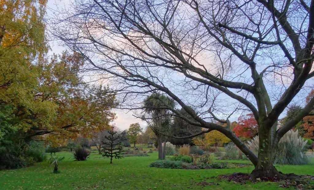 Фото Cj8 Medium Studio