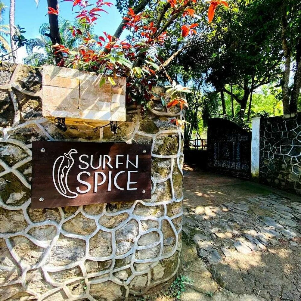 Фото Surf N Spice
