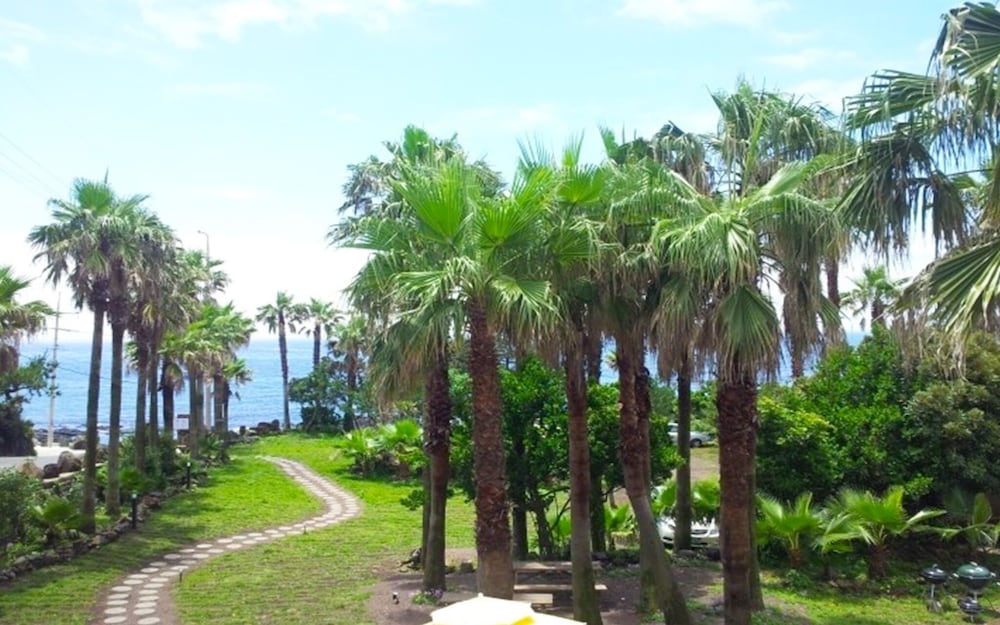 Фото Jeju Neopbille Guest House