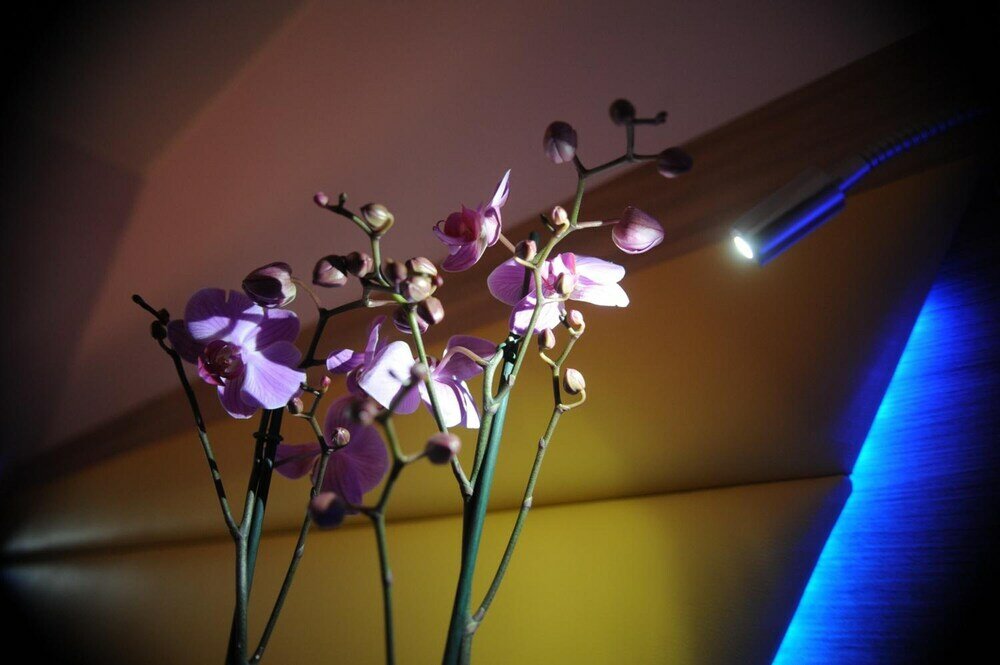 Фото Ostia Antica Suite Bb