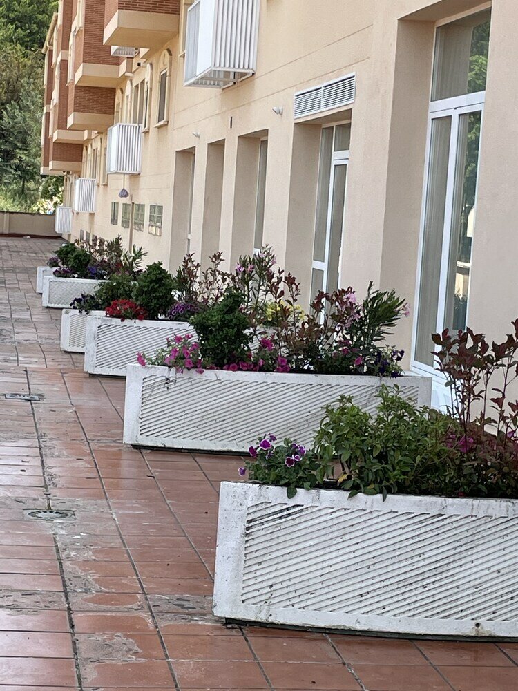 Фото Apartamentos Aljama