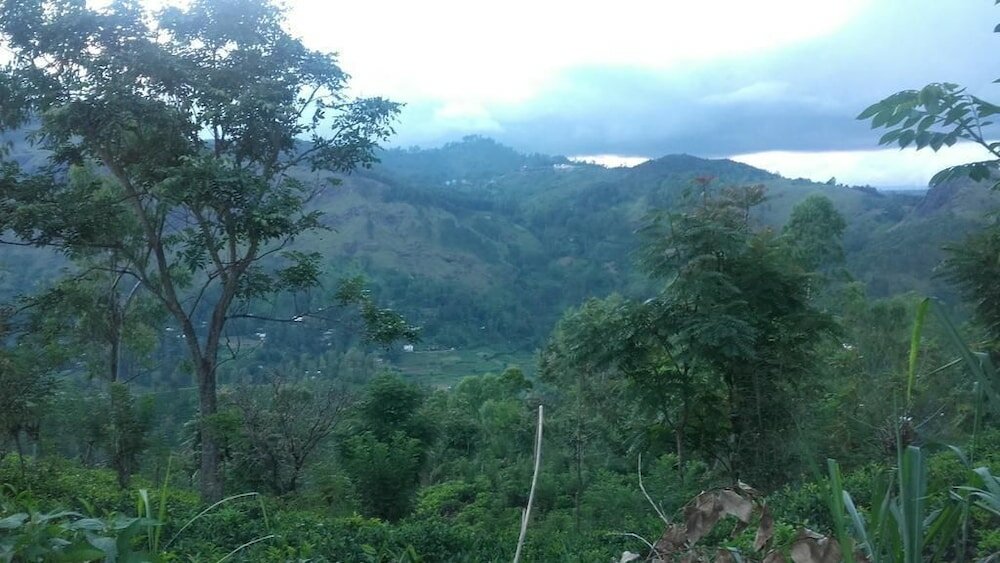 Фото Cloudy Hill Cottage