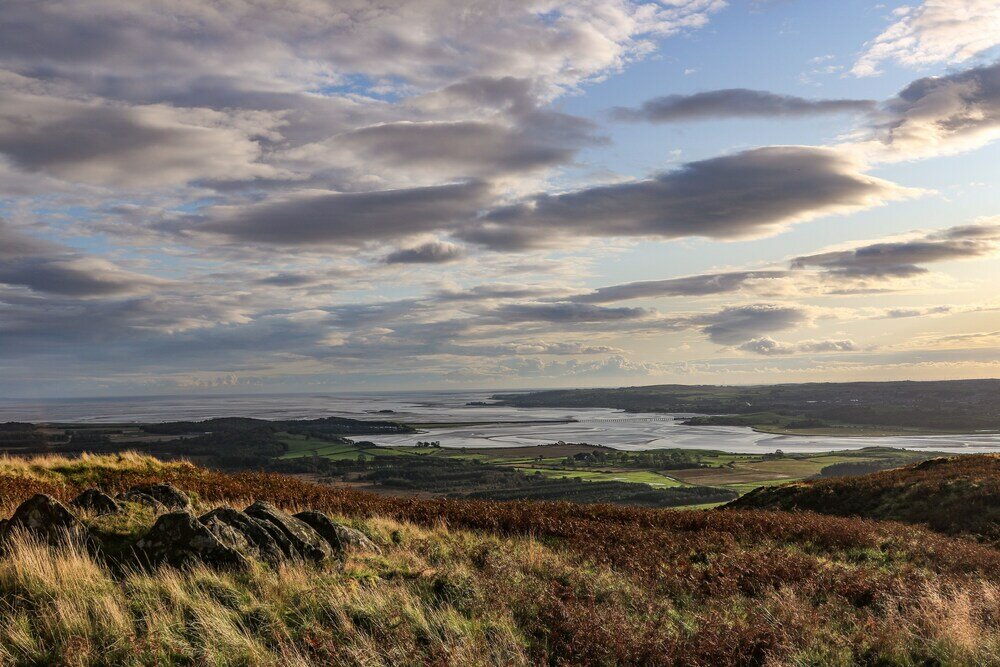 Фото Malleus House