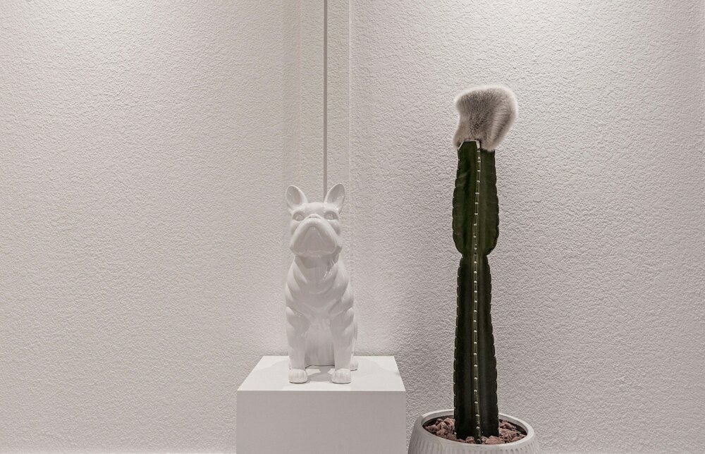 Фото Zam 101 Hotel