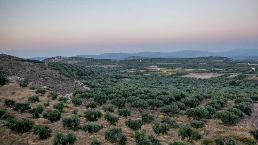 Фото Alagni Cretan Resort