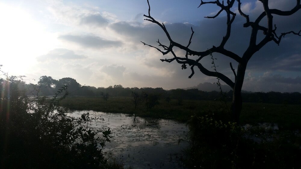 Фото Yala Big Game Drive with Heina Eco Team