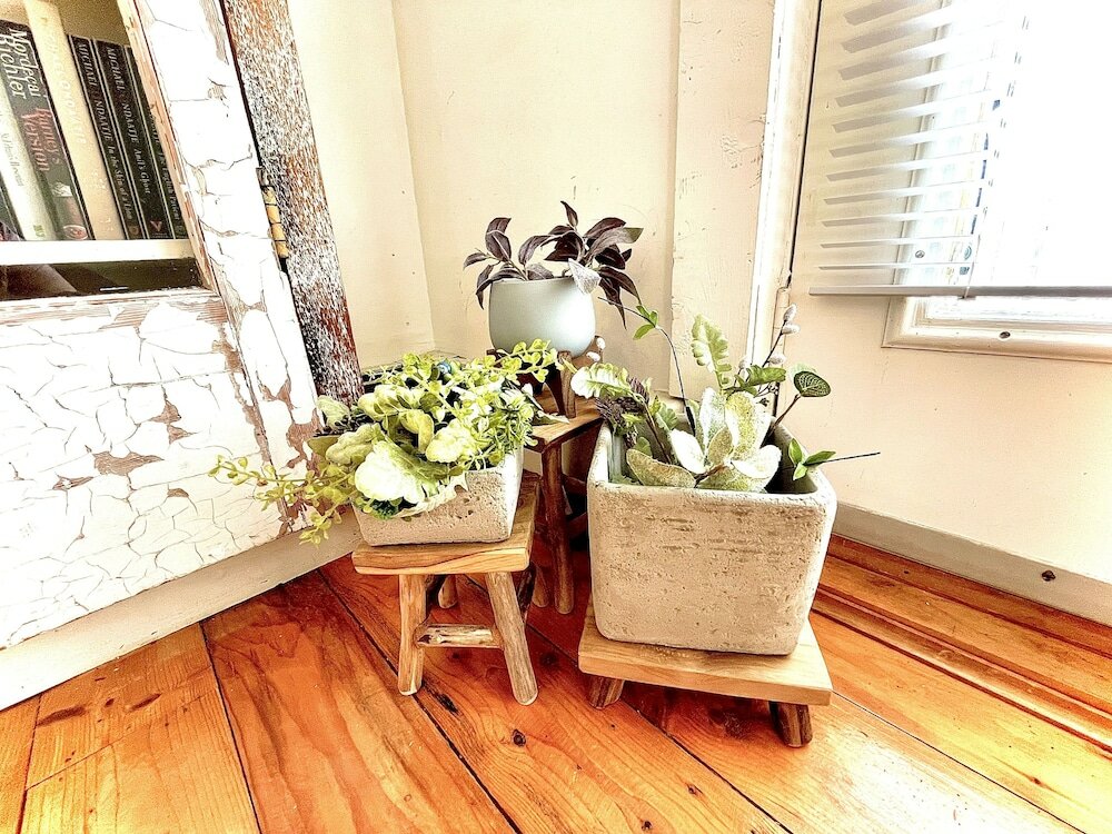 Фото Little Bird Inn