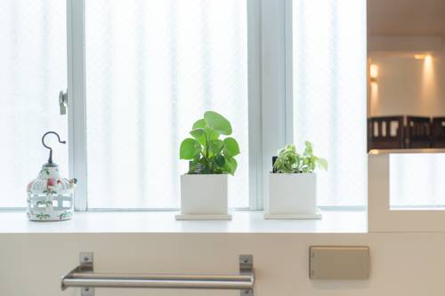 Фото La Passione