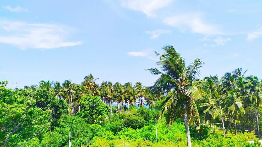 Фото Villa Modara