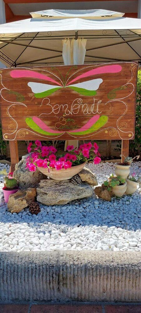 Фото Buen Camino Ssa