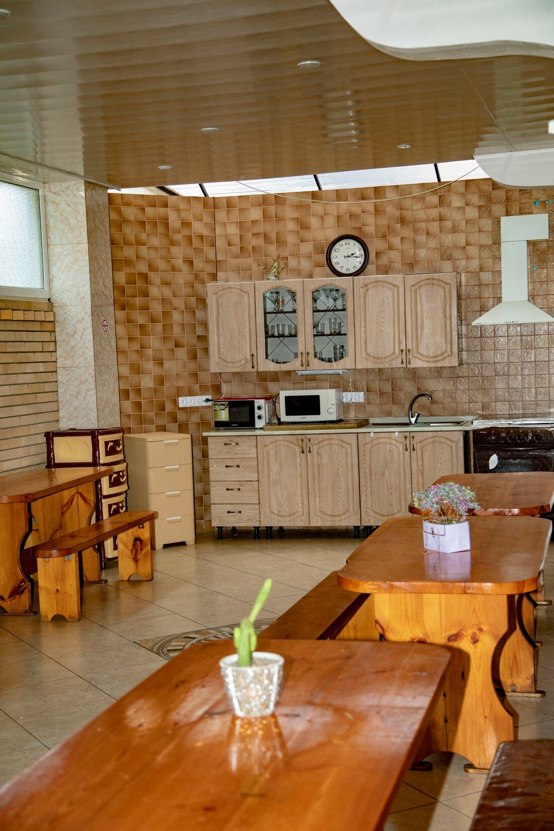 Фото Кенгуру