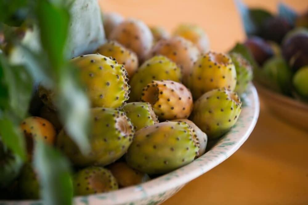 Фото Agriturismo Regno di Marzagaglia