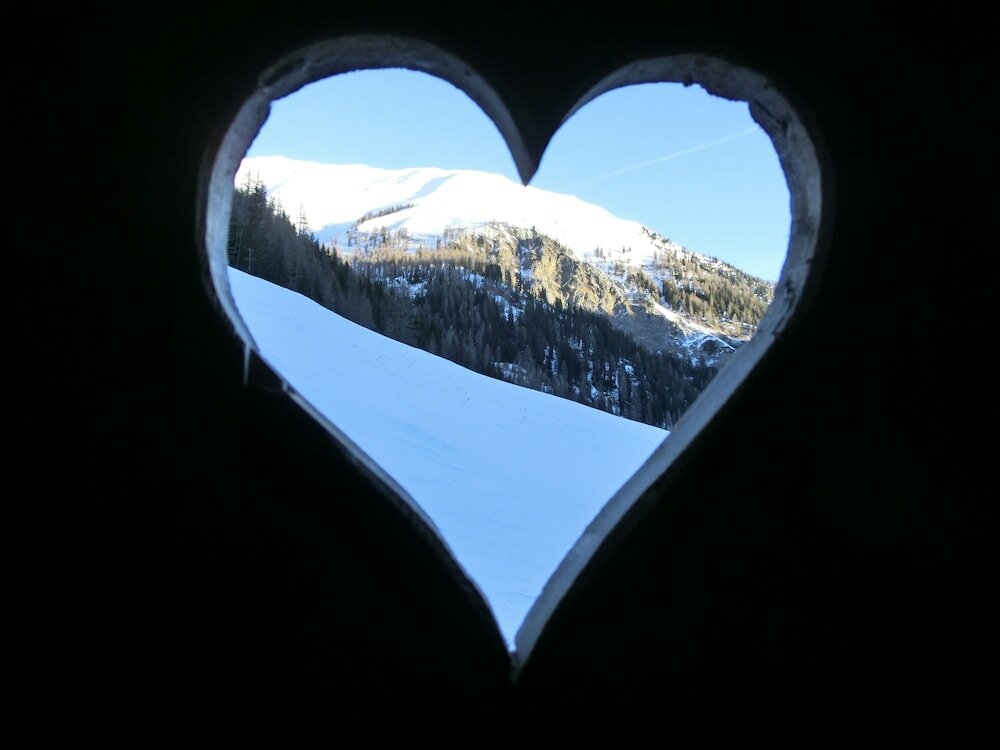 Фото Ferienwohnungen am Berg - Almhütte Alfen