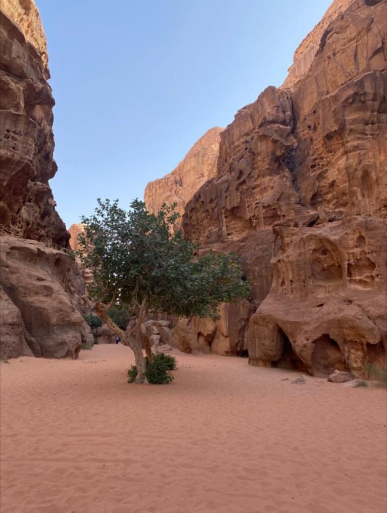 Фото Wadi Rum Tribe - Campsite