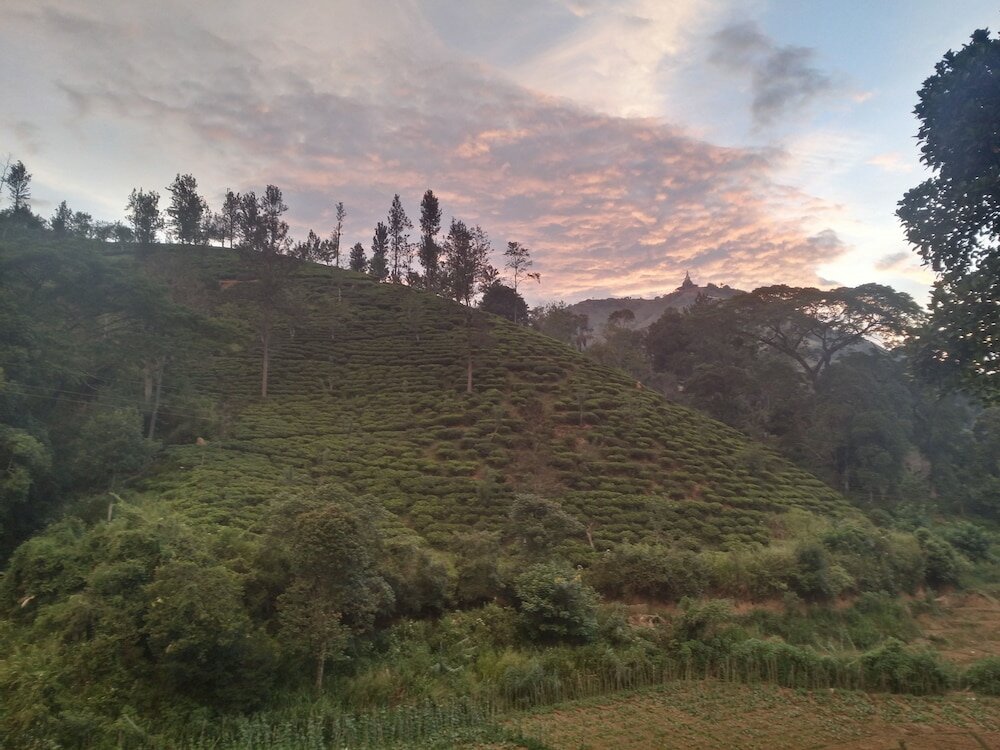 Фото Ayubo Ella - Bed & Breakfast