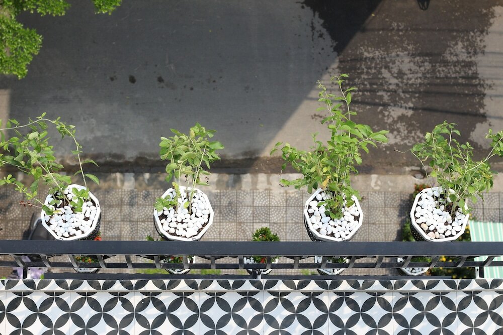 Фото Lion Apartment