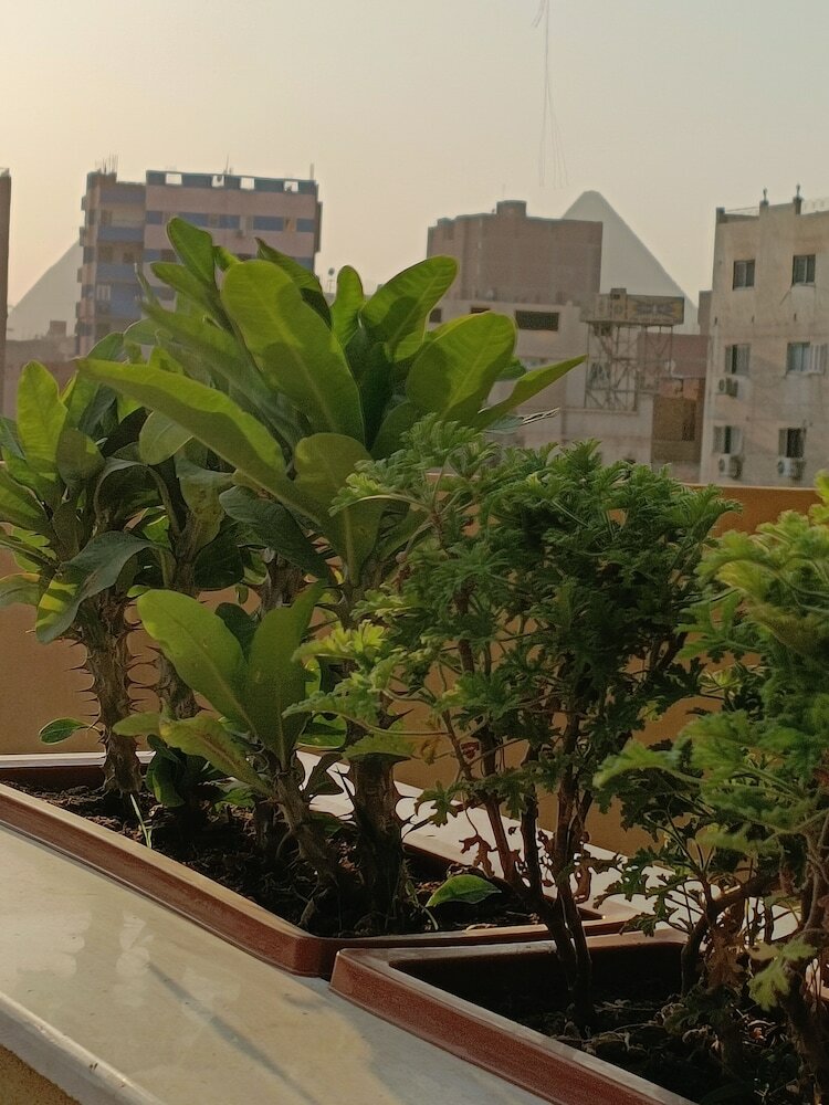 Фото Discover Pyramids inn