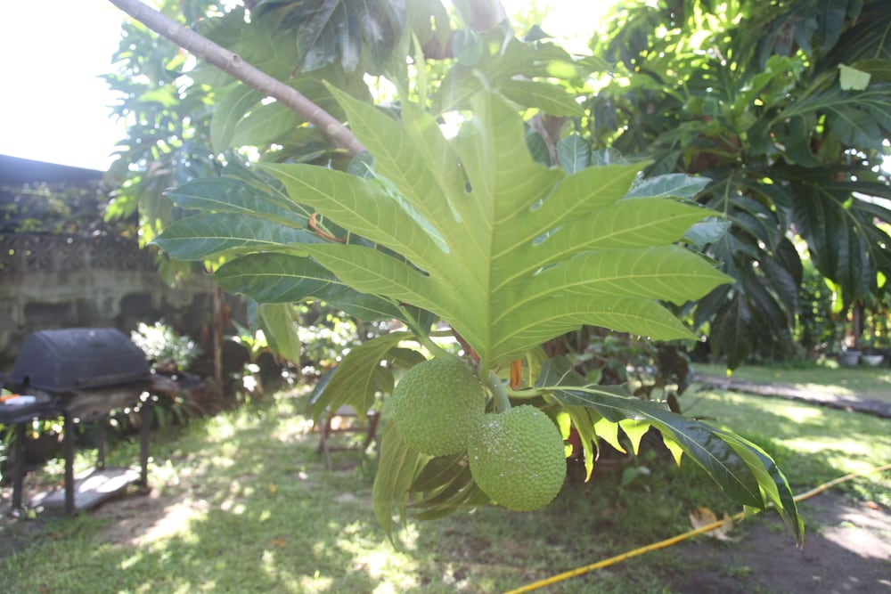 Фото Marama Lodge Tahiti