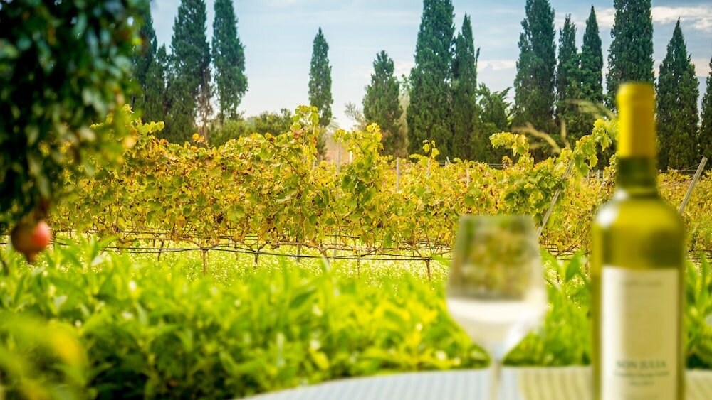 Фото Son Julia Country House & SPA