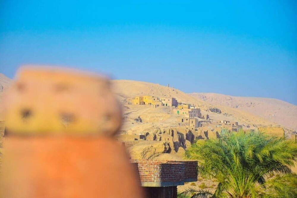 Фото Pharaonic Rose